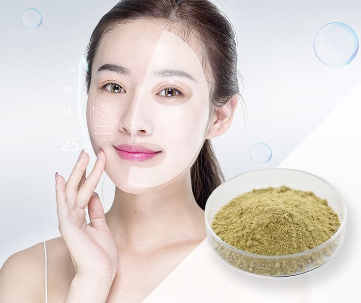 Cosmetic Ingredients